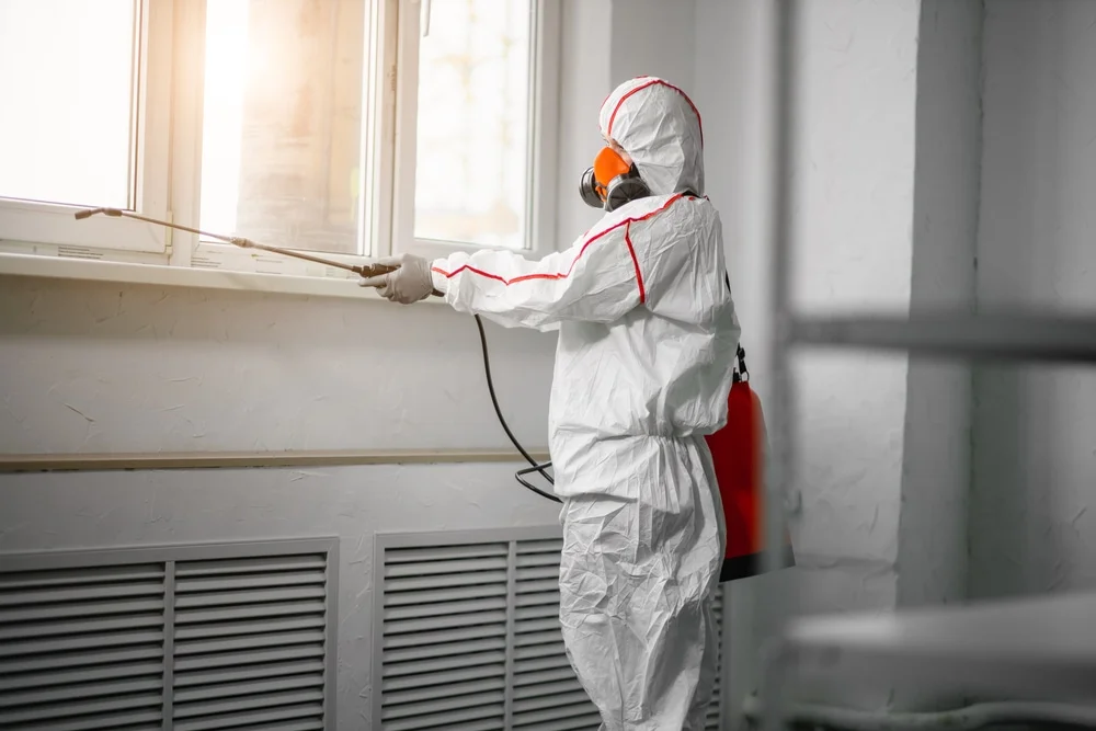 Professional mold remediation services in Geneva, FL